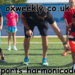 sports harmonicode