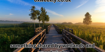 something shared by wetlands and woodwinds