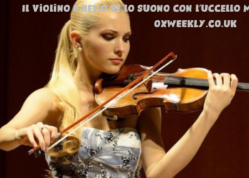 Il violino è bello se lo suono con l’uccello mp4
