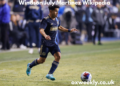 Windson July Martinez Wikipedia