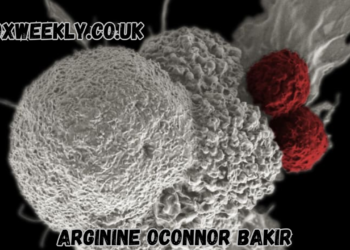 arginine oconnor bakir