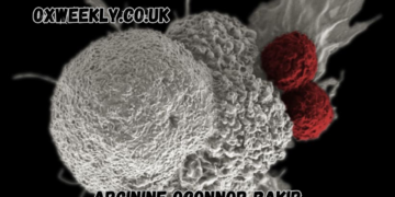arginine oconnor bakir