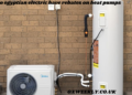 do egyptian electric have rebates on heat pumps
