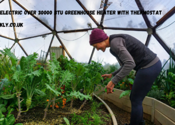 electric over 30000 btu greenhouse heater with thermostat