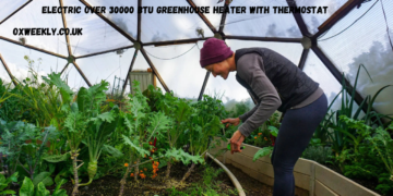 electric over 30000 btu greenhouse heater with thermostat